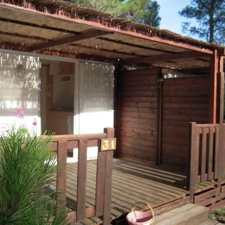 Kemp Mobil-home Confortable Avec Terrasse Pour 2 A - Api-1-52-710 *